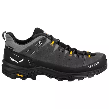 Мультиспортивная обувь Salewa Alp Trainer 2 GTX, цвет Onyx/Black