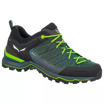 Мультиспортивная обувь Salewa MS Mountain Trainer Lite GTX, цвет Myrtle/Ombre Blue