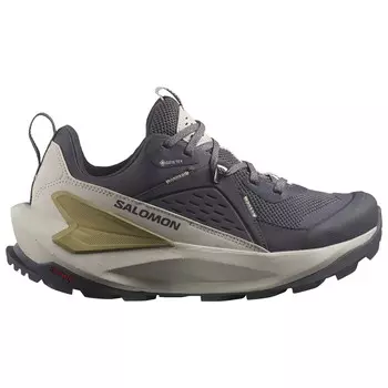 Мультиспортивная обувь Salomon Elixir GTX, цвет Nine Iron/Silver Cloud/Sponge