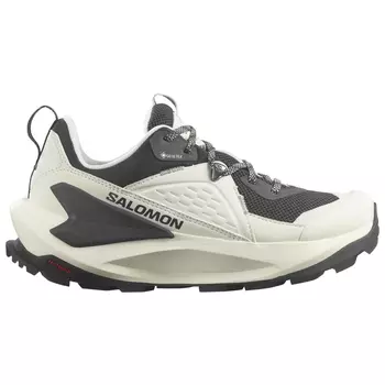 Мультиспортивная обувь Salomon Women's Elixir GTX, цвет Vanilla Ice/Phantom/Metal