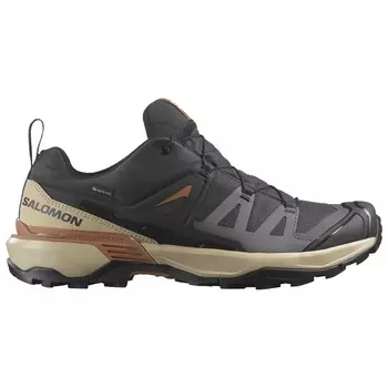 Мультиспортивная обувь Salomon X Ultra 360 GTX, цвет Phantom/Safari/Caramel Cafe