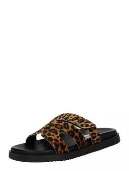 Мюли STEVE MADDEN Mules Missile-L, цвет Brown/Dark brown