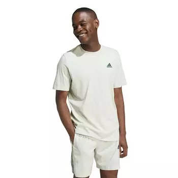 Мужская базовая футболка adidas Sportswear Essentials Adidas, цвет Linen Green
