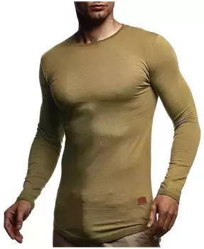 Мужская базовая футболка с длинным рукавом и круглым вырезом, облегающего кроя, толстовка с длинным рукавом и круглым вырезом LN8394, размер XXL, цвет хаки Leif Nelson, коричневый/бежевый