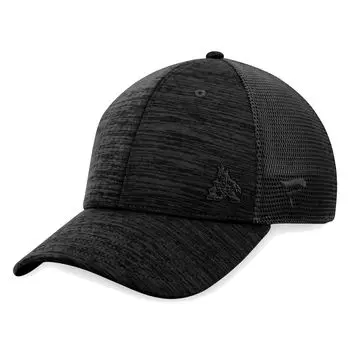 Мужская черная фирменная кепка Fanatics Arizona Coyotes Authentic Pro Road Flex