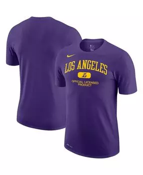Футболка Nike Los Angeles Lakers Essential Heritage, фиолетовый