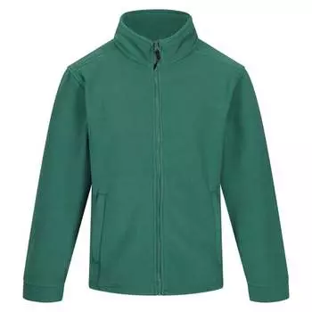 Мужская флисовая куртка Thor 300 на молнии Regatta, зеленый