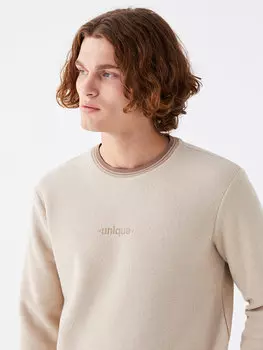 Мужская флисовая толстовка с круглым вырезом и длинными рукавами LCW Vision, бежевый