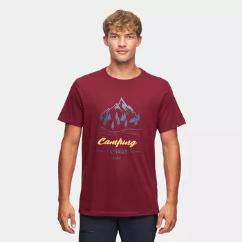 Мужская футболка Alpinus Polaris II