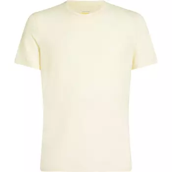 Мужская футболка Anatomica Icebreaker, белый