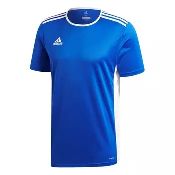 Мужская футболка энтрада Adidas, синий