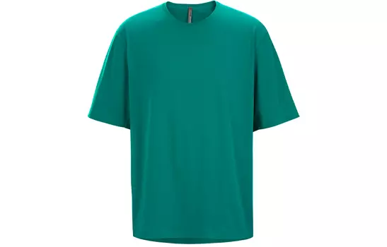 Мужская футболка Arcteryx, цвет Black