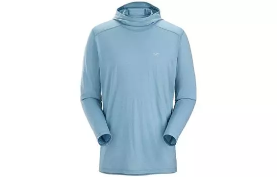 Мужская футболка Arcteryx, цвет Black