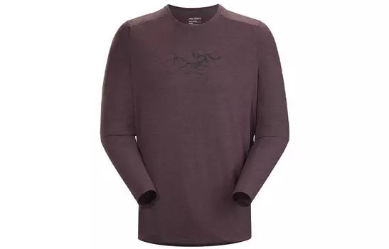 Мужская футболка Arcteryx, цвет Black