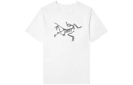 Мужская футболка Arcteryx, цвет Black