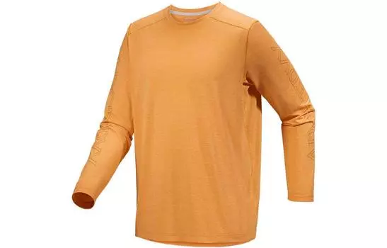 Мужская футболка Arcteryx, цвет Black Heather