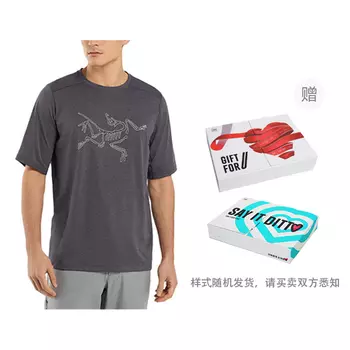 Футболка мужская Arcteryx Cormac Series, черный / серый