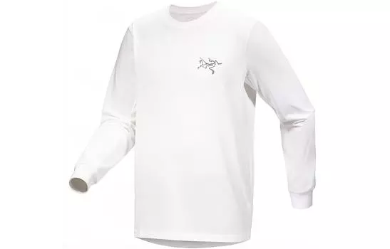Мужская футболка Arcteryx, Каменная стирка
