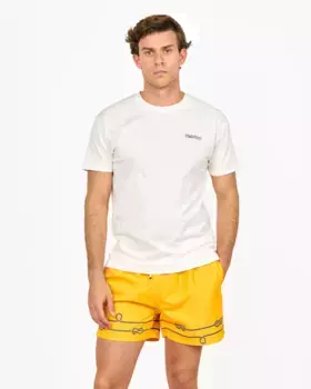 Мужская футболка бежевого цвета с коротким рукавом Spagnolo, бежевый