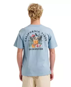 Мужская футболка California Vibes Quiksilver, синий