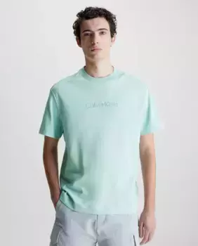 Мужская футболка Calvin Klein, светло-голубой