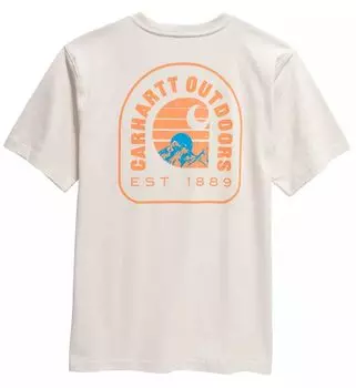 Мужская футболка Carhartt с короткими рукавами и рисунком Mountain