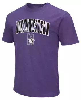 Мужская футболка Colosseum Northwestern Wildcats фиолетового цвета