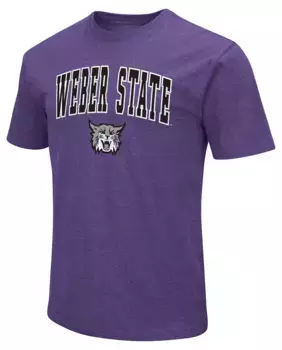 Мужская футболка Colosseum Weber State Wildcats фиолетового цвета