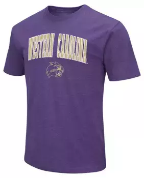 Мужская футболка Colosseum Western Carolina Catamounts фиолетовая