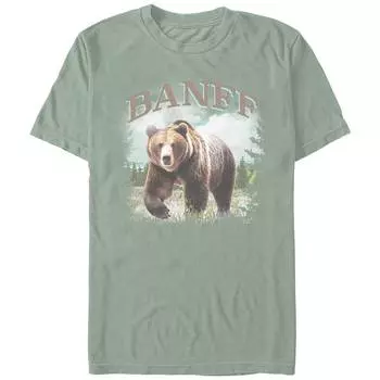 Мужская футболка Comfort Colors Banff с изображением медведя и плаката Licensed Character, цвет Bay