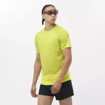 Мужская футболка Cross Run Salomon, жёлтый