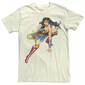 Мужская футболка DC Fandome Wonder Woman Action Shot Licensed Character
