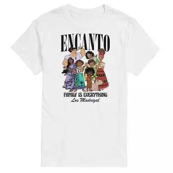 Мужская футболка Disney's Encanto Family Everything с графическим рисунком Licensed Character