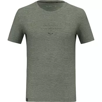 Мужская футболка Eagle EITD AM Salewa, серый