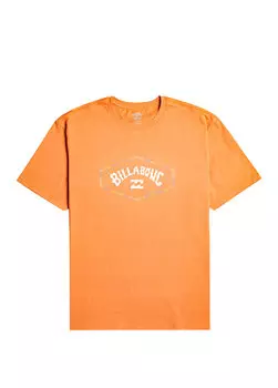 Мужская футболка exit arch Billabong