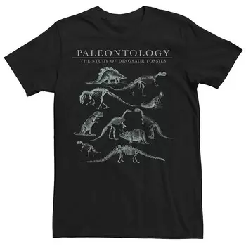 Мужская футболка Fifth Sun Dino Study Animal Licensed Character, черный