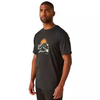 Мужская футболка FingalStretch Regatta, серый