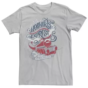 Мужская футболка Harry Potter All Aboard The Hogwarts Express Licensed Character, цвет Silver