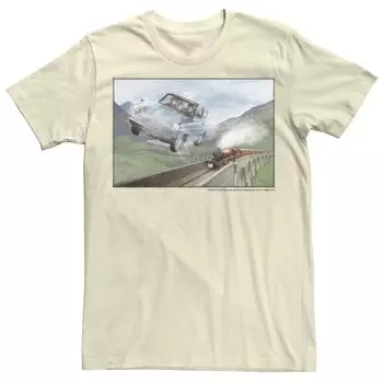 Мужская футболка Harry Potter Racing The Train Licensed Character