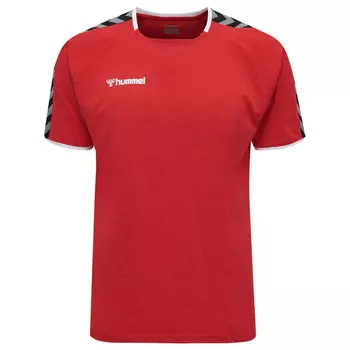 Мужская футболка Hmlauuthentic Training Tee для мультиспорта HUMMEL, цвет rosa