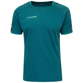 Мужская футболка Hmlauuthentic Training Tee для мультиспорта HUMMEL, цвет blau