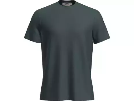 Мужская футболка Icebreaker Merino 150 Tech Lite III, цвет Fathom Green