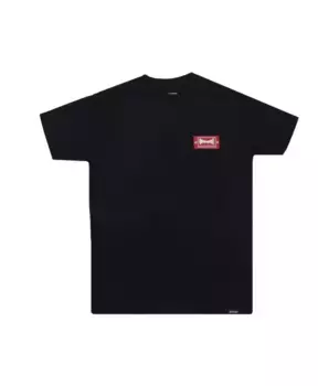 Мужская футболка Indy Wash Tee Etnies, черный