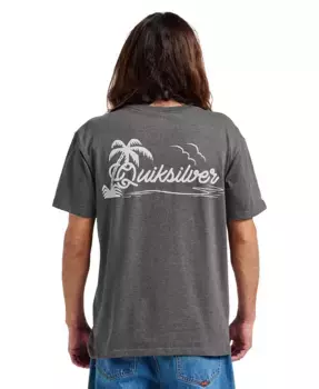Мужская футболка Island Vibin Quiksilver, коричневый/бежевый