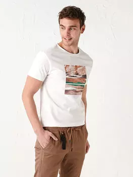 Мужская футболка из чесаного хлопка с круглым вырезом и коротким рукавом с принтом LCW Casual