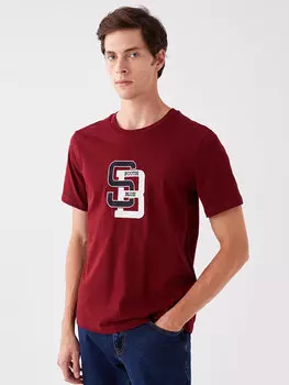 Мужская футболка из чесаного хлопка с круглым вырезом и коротким рукавом с принтом SOUTHBLUE, бургундия