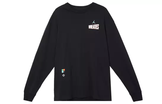 Мужская футболка Jordan, цвет Black