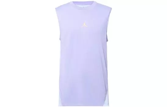 Мужская футболка Jordan, Ледяная сирень