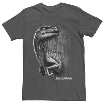 Мужская футболка Jurassic World Raptor с графическим рисунком в стиле гранж и портретом Licensed Character