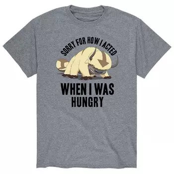 Мужская футболка Nickelodeon Avatar Appa, серый